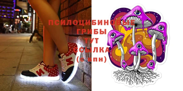 бошки Аркадак