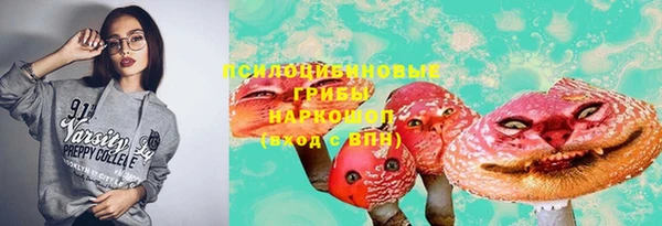 бошки Аркадак
